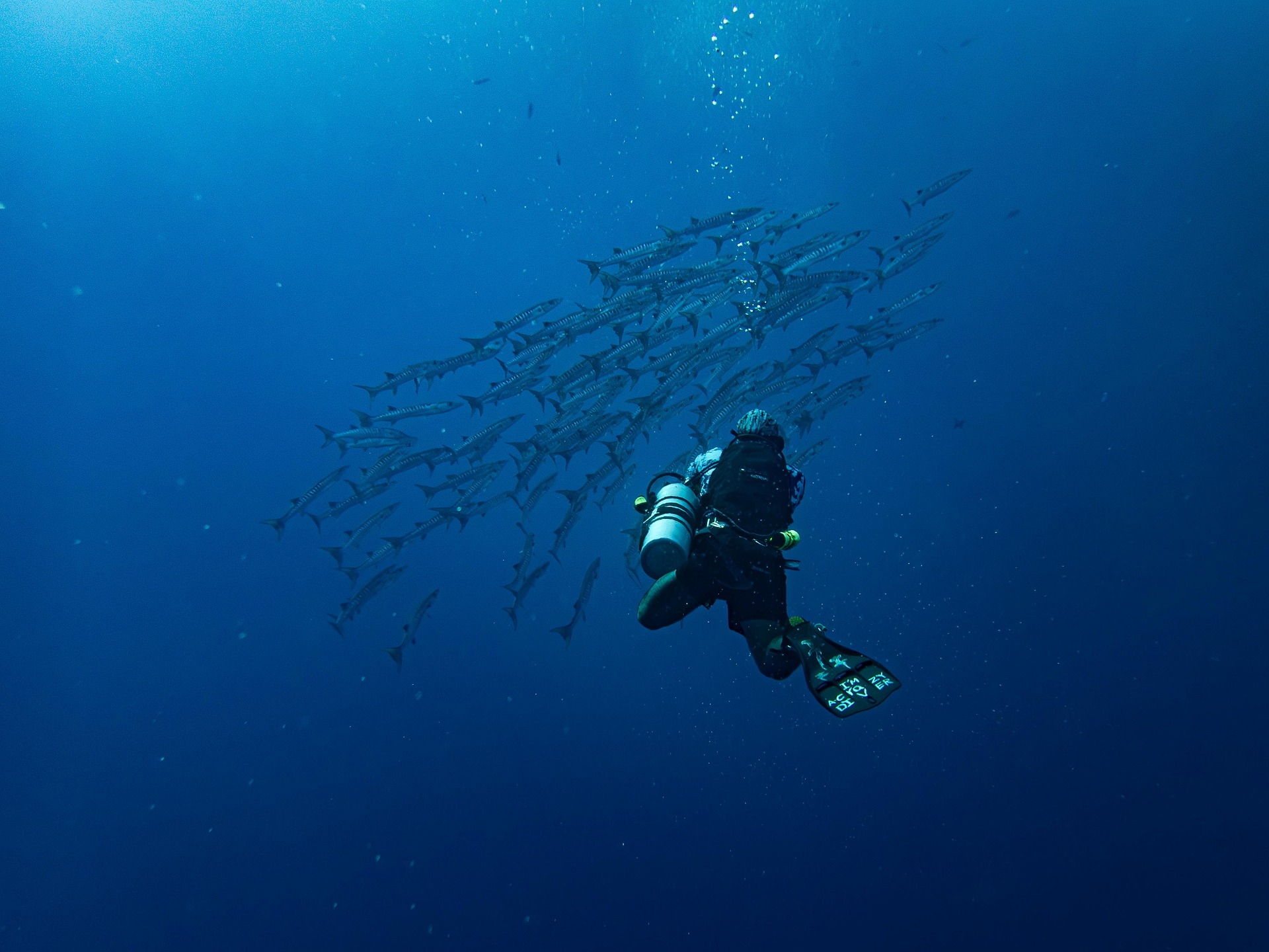 Technologies in Underwater Depth Exploration 2026: Exploring the Ocean Floor