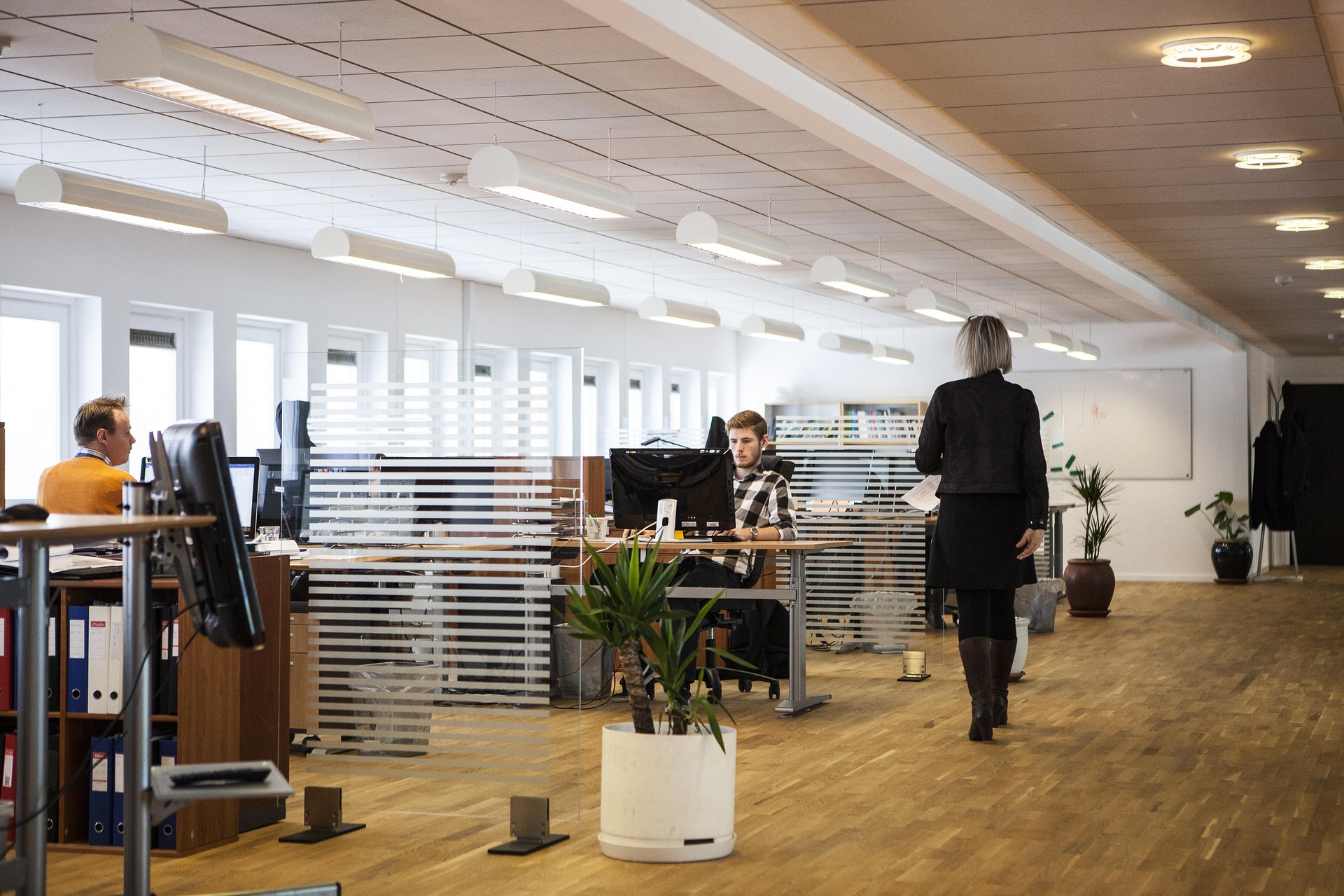 START UP COMPANIES  GUIDELINE: